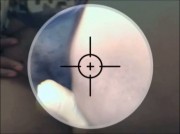 Amateur Video of hotblackpanther